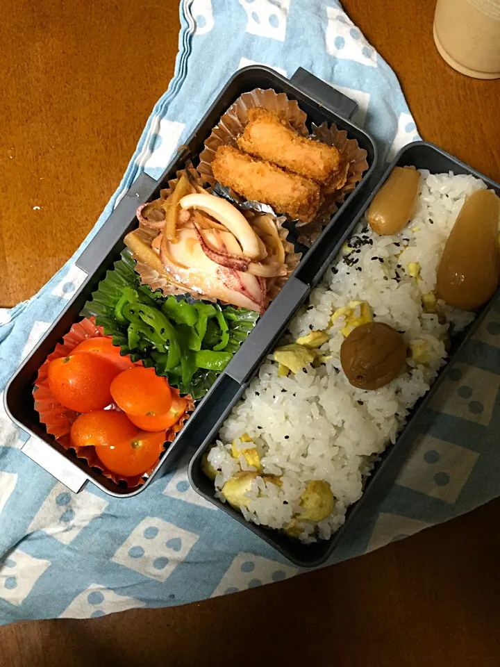 大黒柱さまのお弁当🍱 かぁーさんからもらった🌰をまぜこみました。|角田　恭子さん