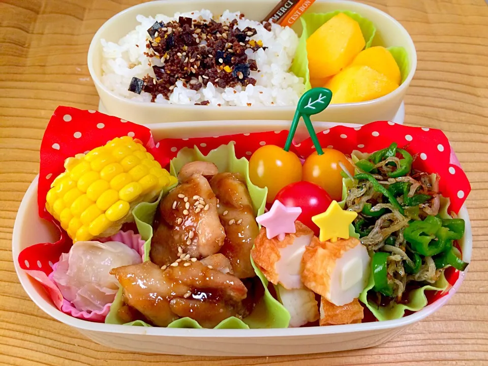 パパと息子くんお弁当♪|たるとさん