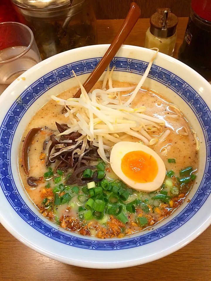 熊本ラーメン|オカピさん