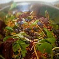 sprouted beans, blueberry almond and sunflower seed salad drizzled with fresh lemon|Natalis Nat-alease Valdesさん