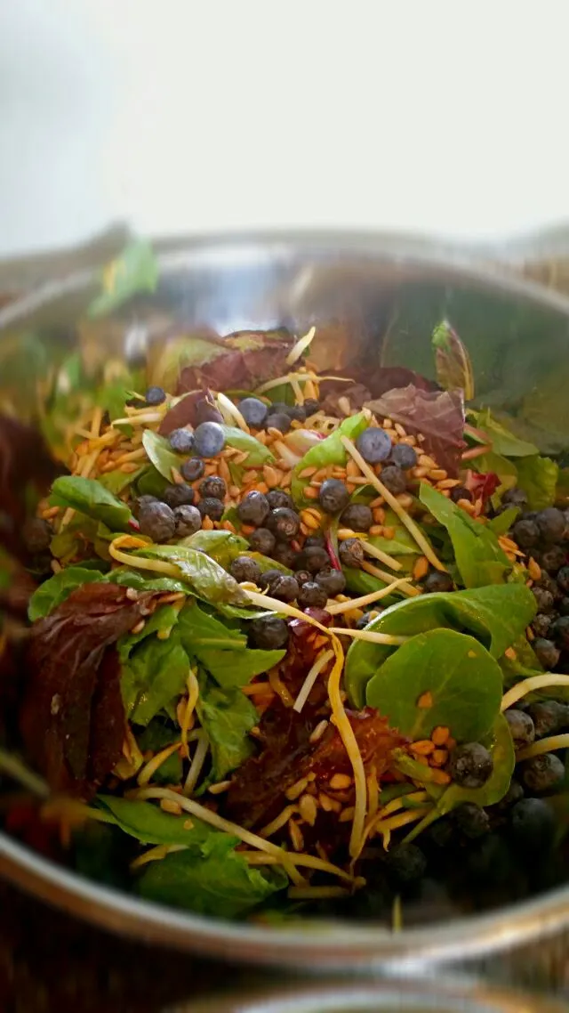 sprouted beans, blueberry almond and sunflower seed salad drizzled with fresh lemon|Natalis Nat-alease Valdesさん