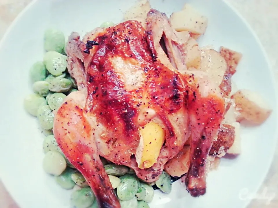 Buttermilk Brined Cornish Hens with Oven-Roasted Potatoes & Butter Poached Lima Beans|Courtney Alizabet Riess Handelさん