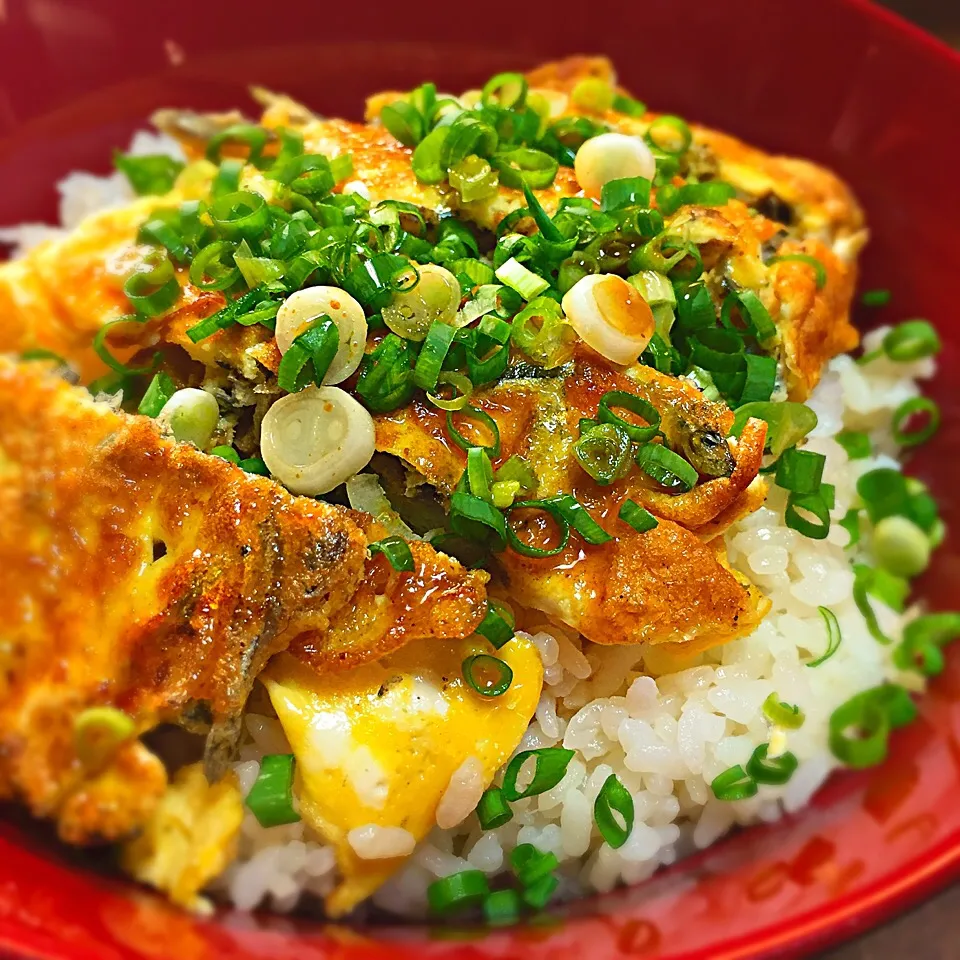 Snapdishの料理写真:じゃこ天丼|ち〜おんさん