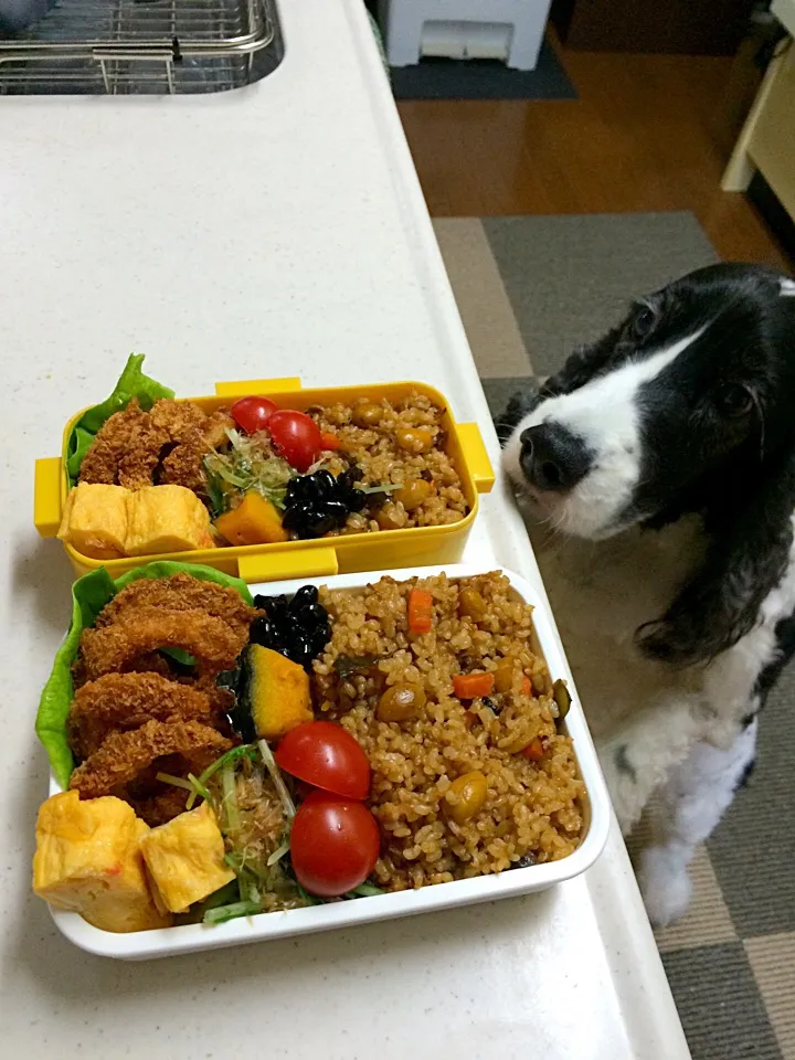 椎茸と銀杏の炊き込みご飯弁当〜♪ 真っ黒だ(￣▽￣)|cafe3733さん