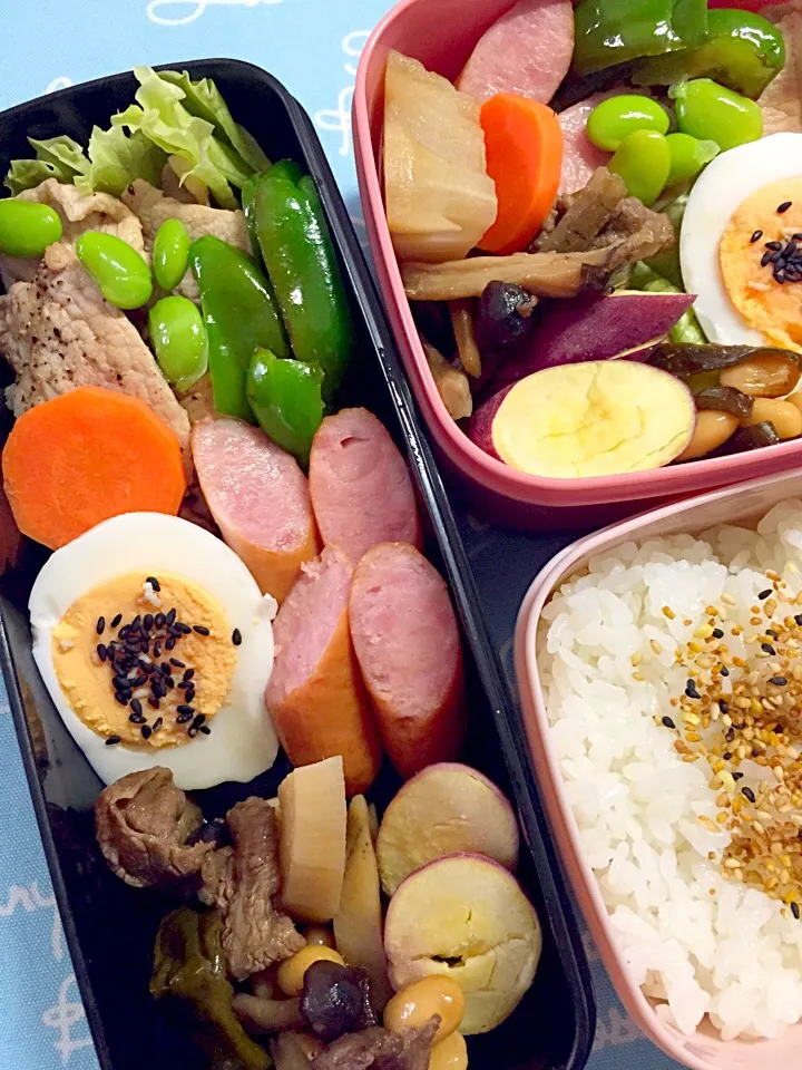 今日のお弁当|chiinaさん