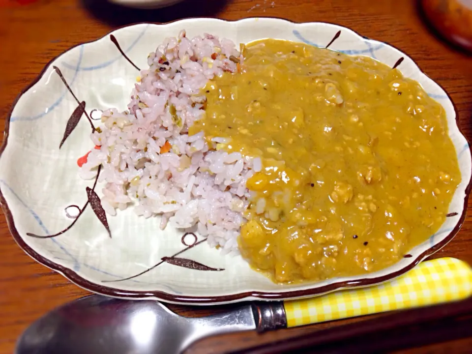 フルーツココカレー|さーたんさん