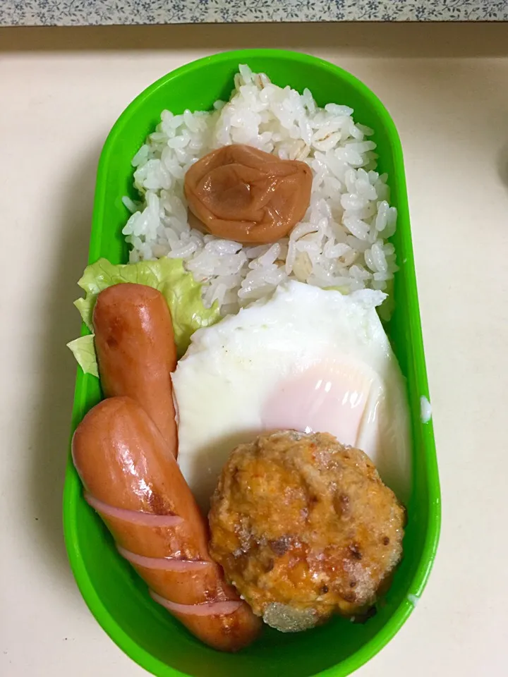 今日は手抜きMAX弁当|舞さん