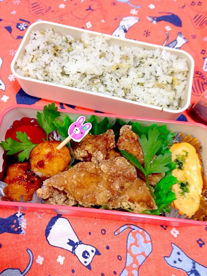 Snapdishの料理写真:お弁当|かりんかさん