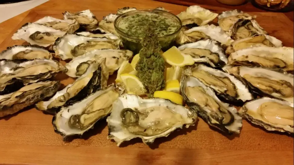 October 1st in Oregon Oysters|Christina Sasserさん