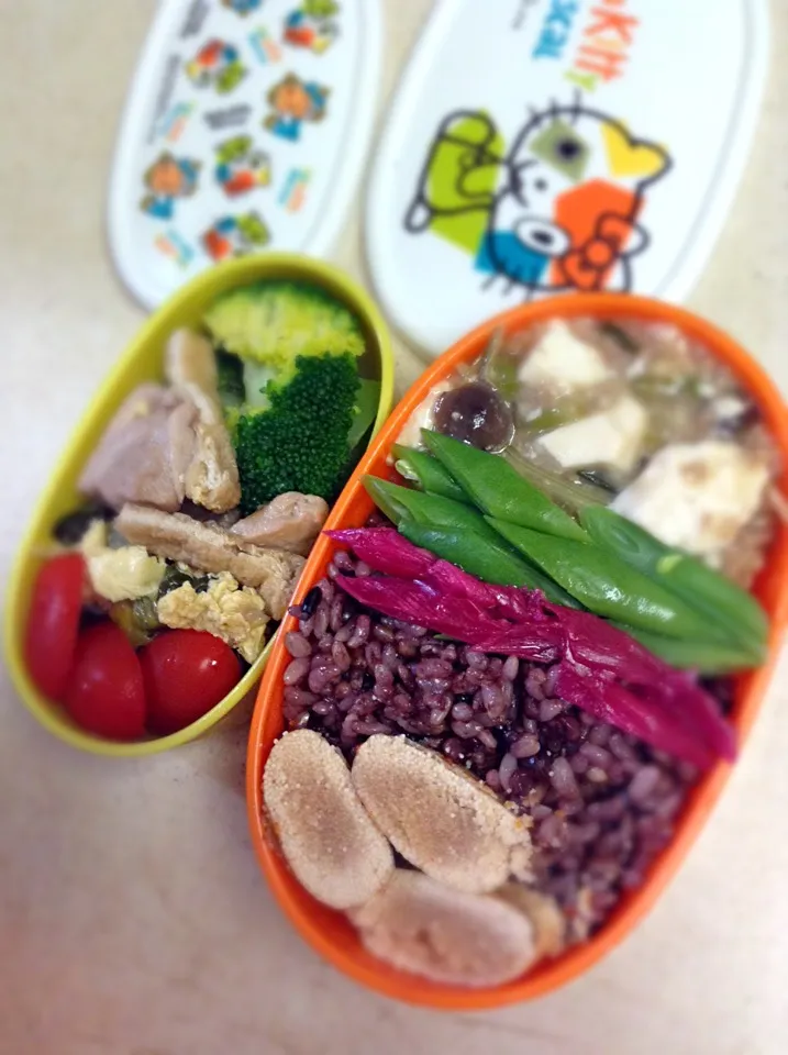 Today’s lunch box. Mapo Tofu/Braised Bean-curd With Minced Pork & Hot Chilli Sauce（Szechwan Style)|hoppycowさん