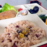 Snapdishの料理写真:弁当|茶屋飯さん