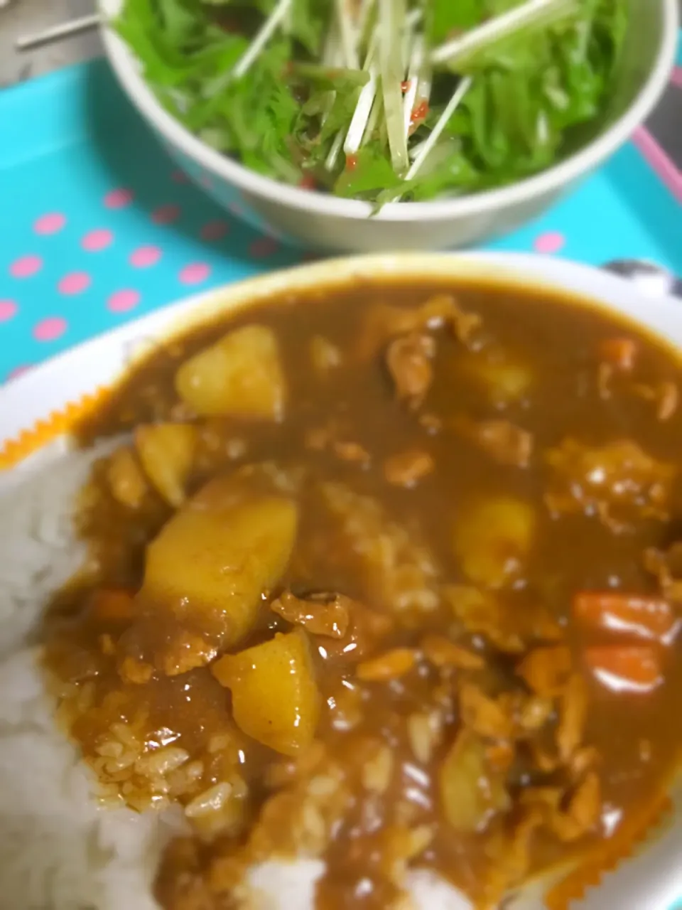 Snapdishの料理写真:ポークカレー🍛
水菜サラダ|Lunaさん