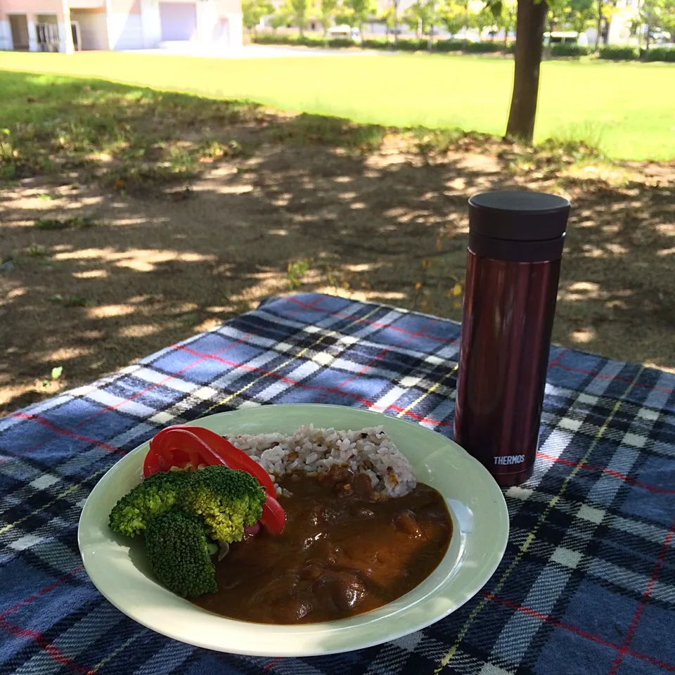 ピクニック・ランチ♬ (▰˘◡˘▰)☝︎|Yoshinobu Nakagawaさん