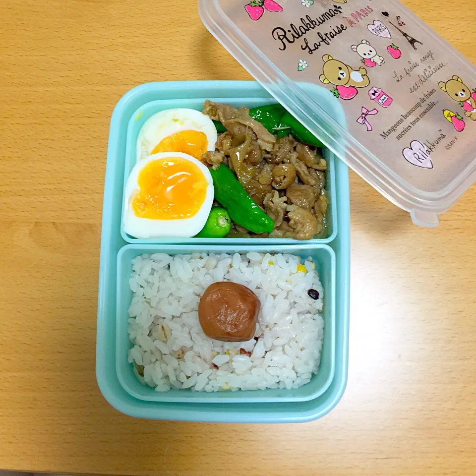 今日のお弁当|ささのはぱんださん