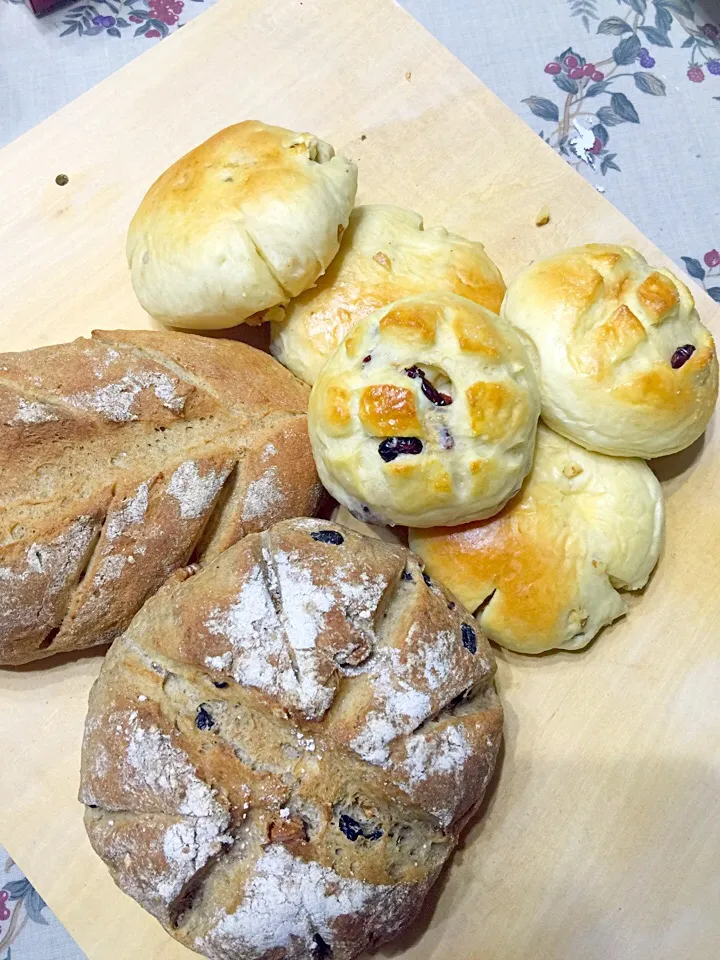 Walnut breads|きくちゃんさん