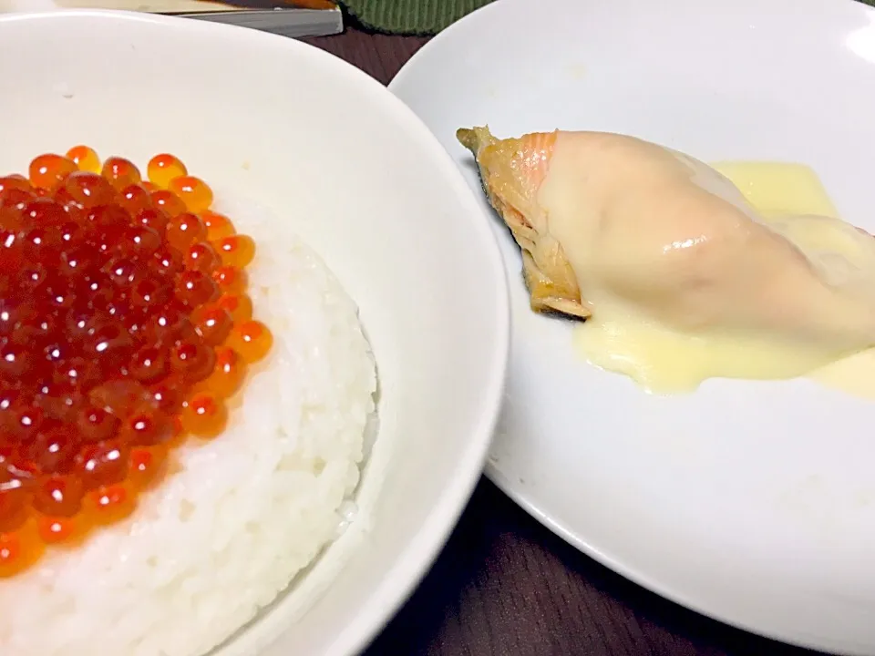 Snapdishの料理写真:実家から送られてきたいくらをイクラ丼にしたやつと、鮭のスライスチーズ乗せ|msさん