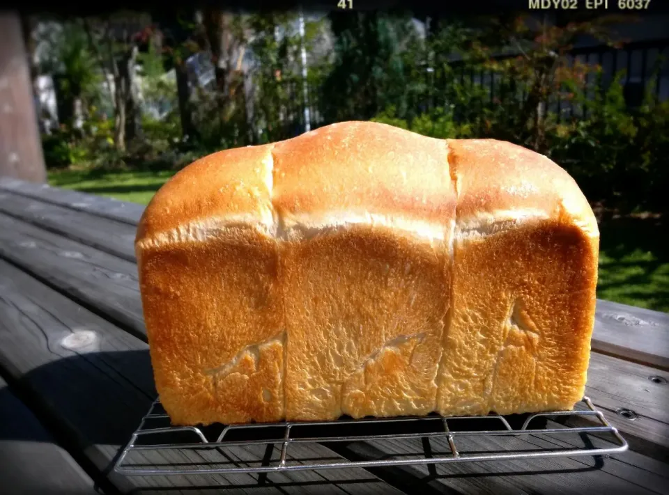 秋晴れ山食ぱーん＼(^-^)／|きみちさん