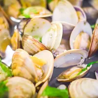 Snapdishの料理写真:Clams in White Wine sauce|Bren Luiさん