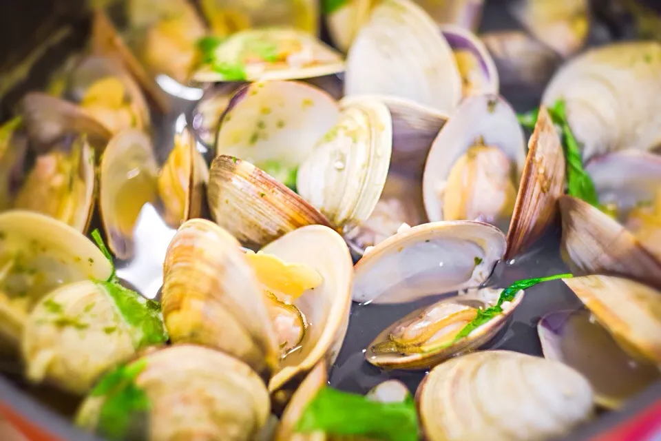 Snapdishの料理写真:Clams in White Wine sauce|Bren Luiさん