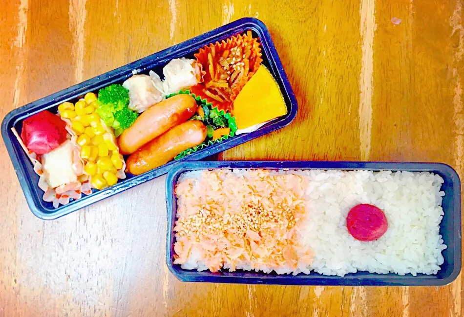 今日の弟のお弁当🍙🌸|ちほさん