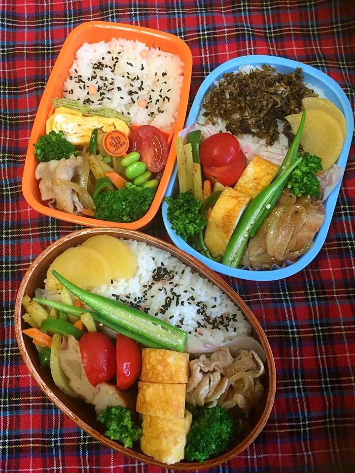 Snapdishの料理写真:父さん&母さん&娘のお弁当〜♬|kiyomiさん