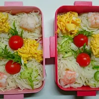 高校生娘2人のある日のお弁当2|きなこママさん