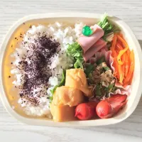 Snapdishの料理写真:お弁当|arisaさん