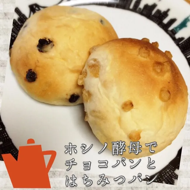 Snapdishの料理写真:ホシノ酵母ではちみつパンとチョコパン|なかぱんさん