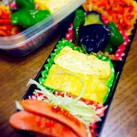 Snapdishの料理写真:野菜ばっかり弁当🍙🍴💕|みかこさん