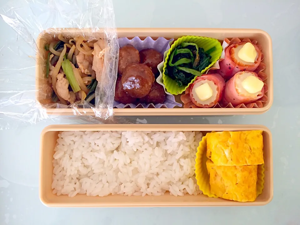 Snapdishの料理写真:今日のお弁当+ﾟ｡*(*´∀｀*)*｡ﾟ+|りかさん