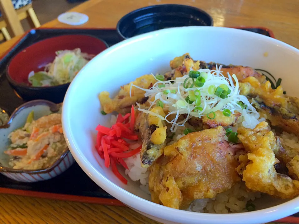 #2015あまくさ丼丼フェア #6 タコ天丼|神力屋 火酒さん