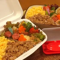 二色どんぶりのお弁当🍱