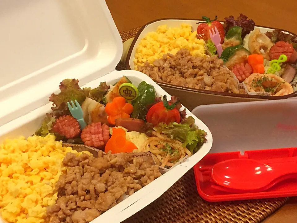 Snapdishの料理写真:二色どんぶりのお弁当🍱|メイスイさん