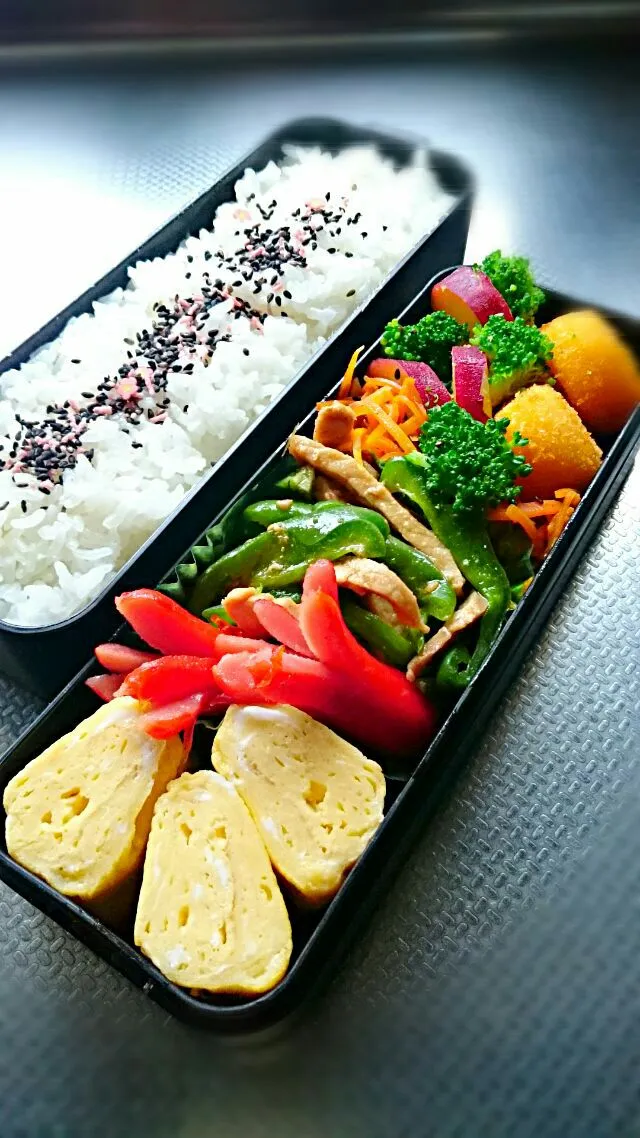 高校男子お弁当|salalaさん