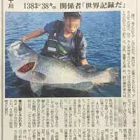 四万十川過去最大のアカメ‼︎