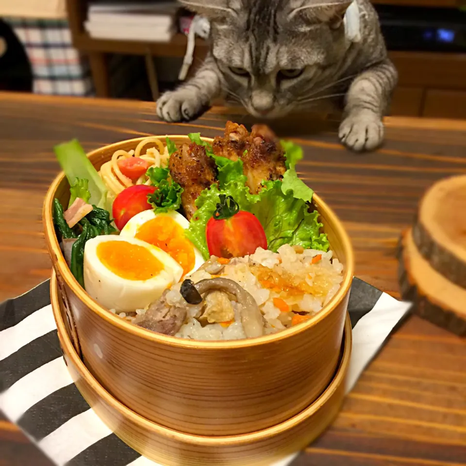 スパイシーチキン弁 猫に狙われる|なつさん