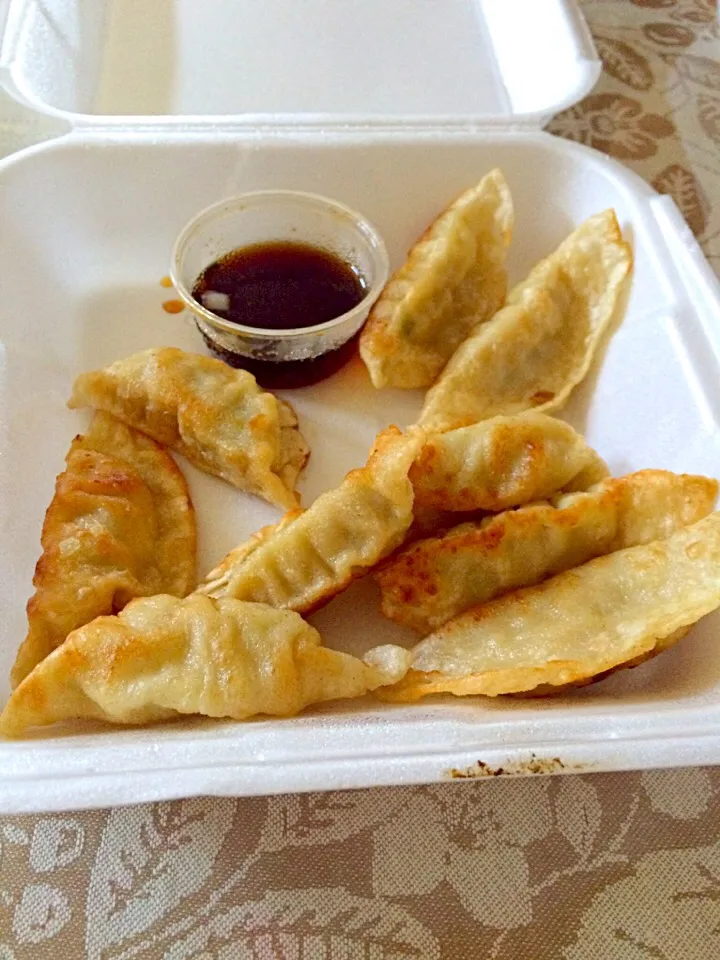 Pan fried dumplings|TRANnosaurusさん