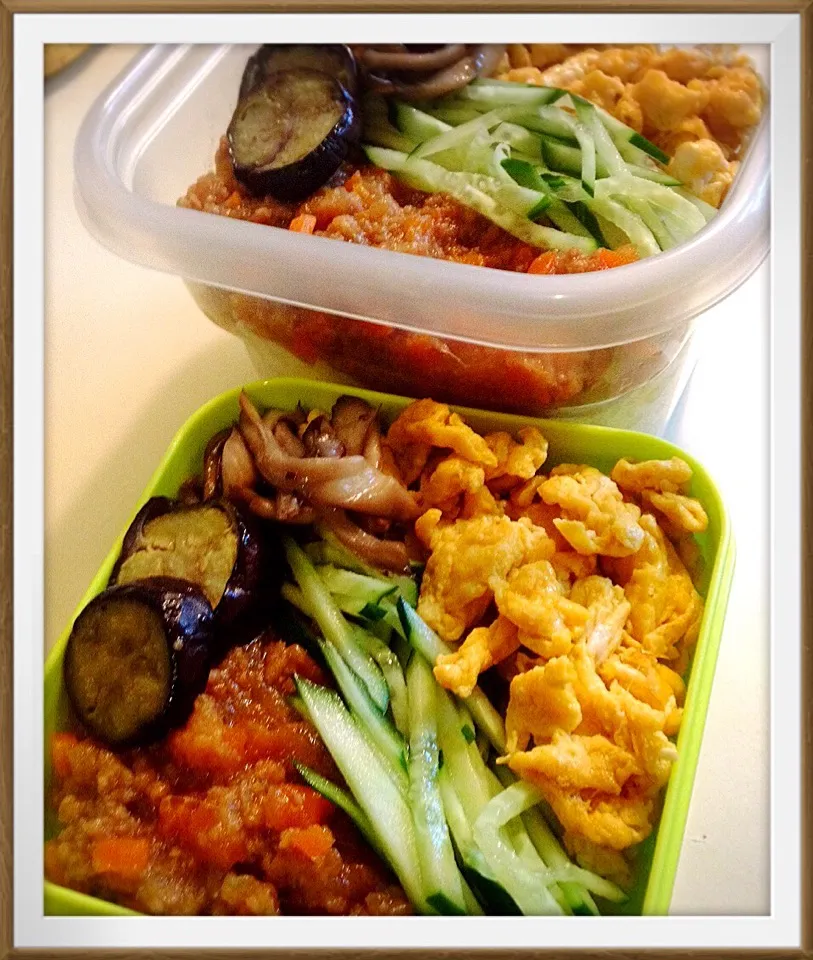 そぼろ弁当。Lunch box, Rice bowl topped with Minced meat, egg and vegetables|toyamadaさん