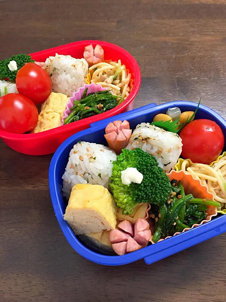 Snapdishの料理写真:公園おでかけ弁当|kiicoさん