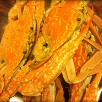 Snapdishの料理写真:steam crab|wahyudi fongata susindraさん