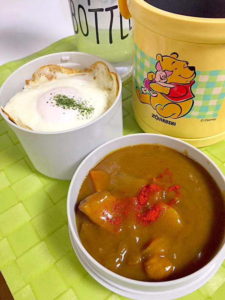 DK🍱101日目🍛ポークcurry|cocoaさん