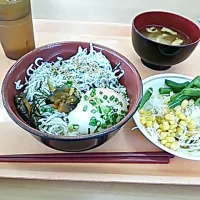 出張先のしらす丼|Hiroko  Matsumotoさん