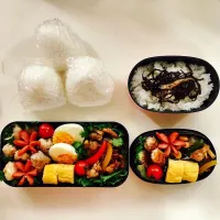 Snapdishの料理写真:青椒肉絲とミルフィーユカツのお弁当♡|みとひさん