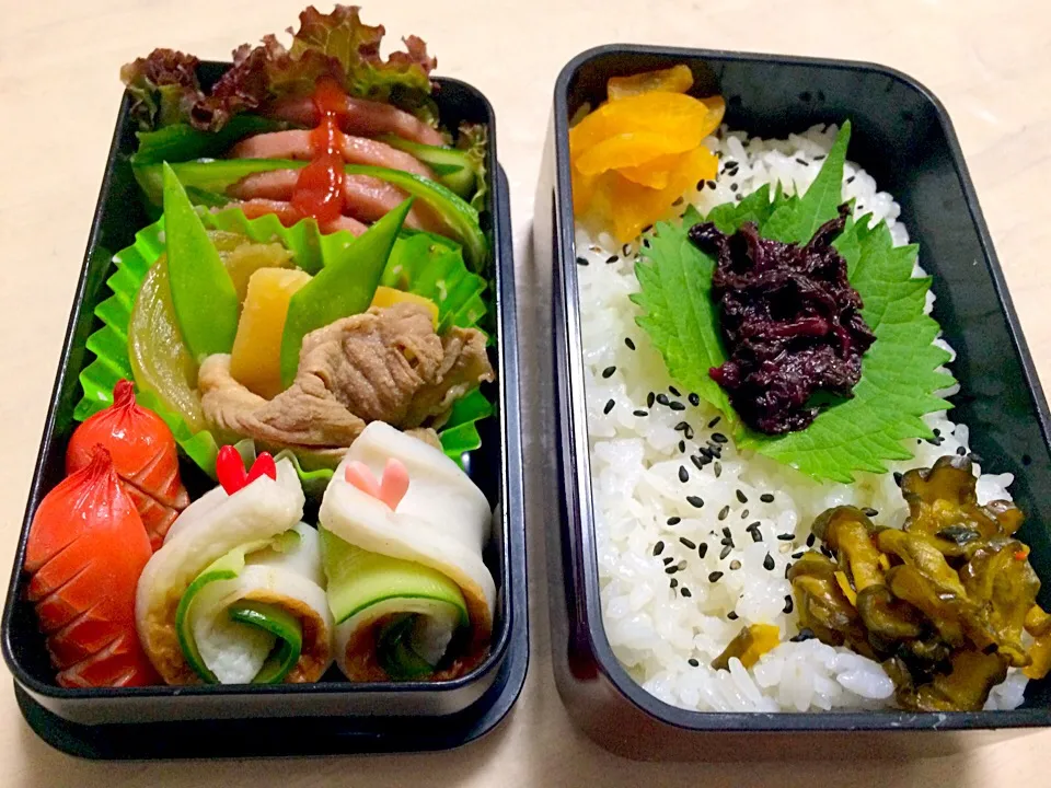 Snapdishの料理写真:今日の男子弁当 肉じゃが弁当だよぉ〜♬|Booパパさん