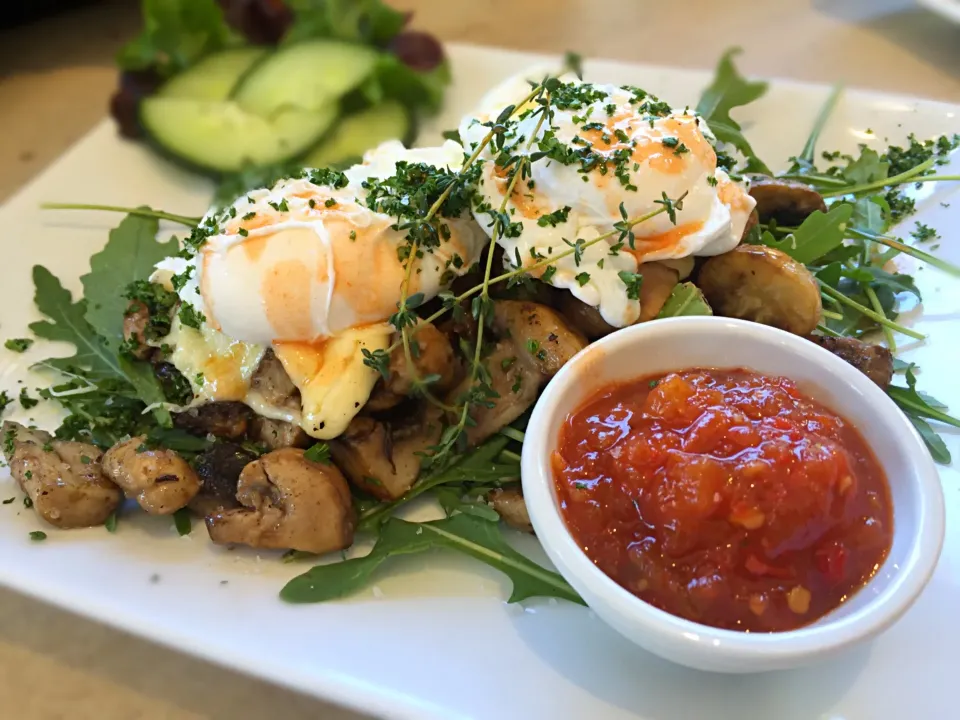 Vegetarian Brunch - 2 Poached Eggs, halloumi, mushrooms, pepperdew sauce on a bed of Rocket|Sergio Lacuevaさん