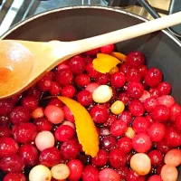 Cabernet Cranberry Fig Sauce|Jennifer Jompheさん