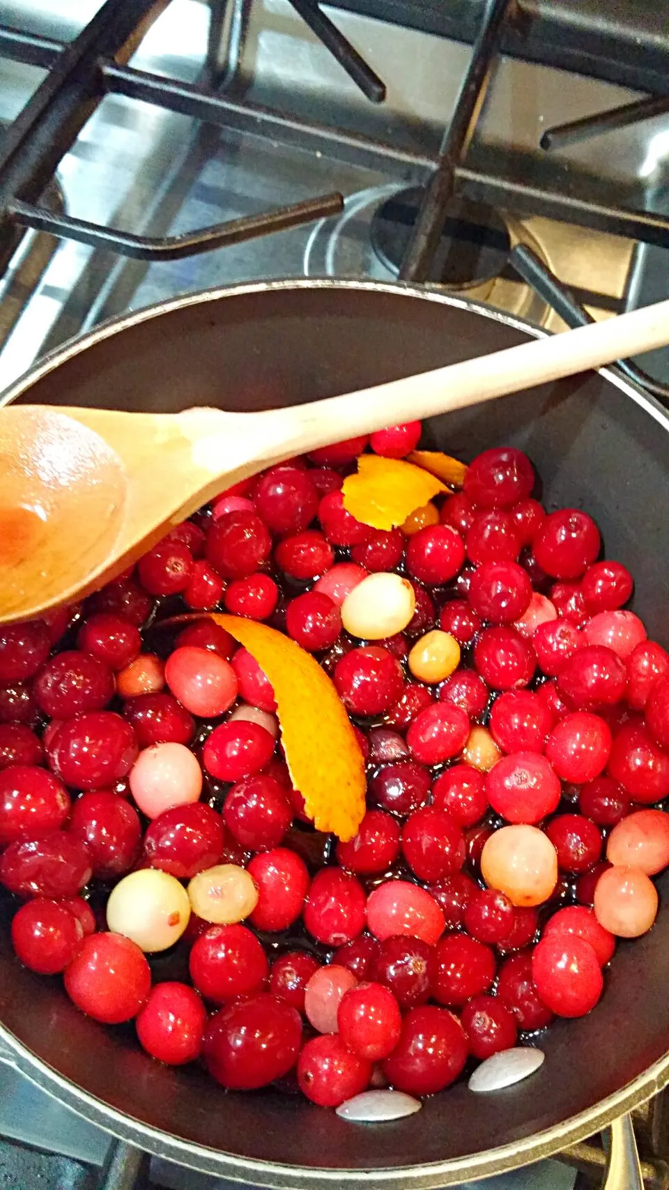 Cabernet Cranberry Fig Sauce|Jennifer Jompheさん