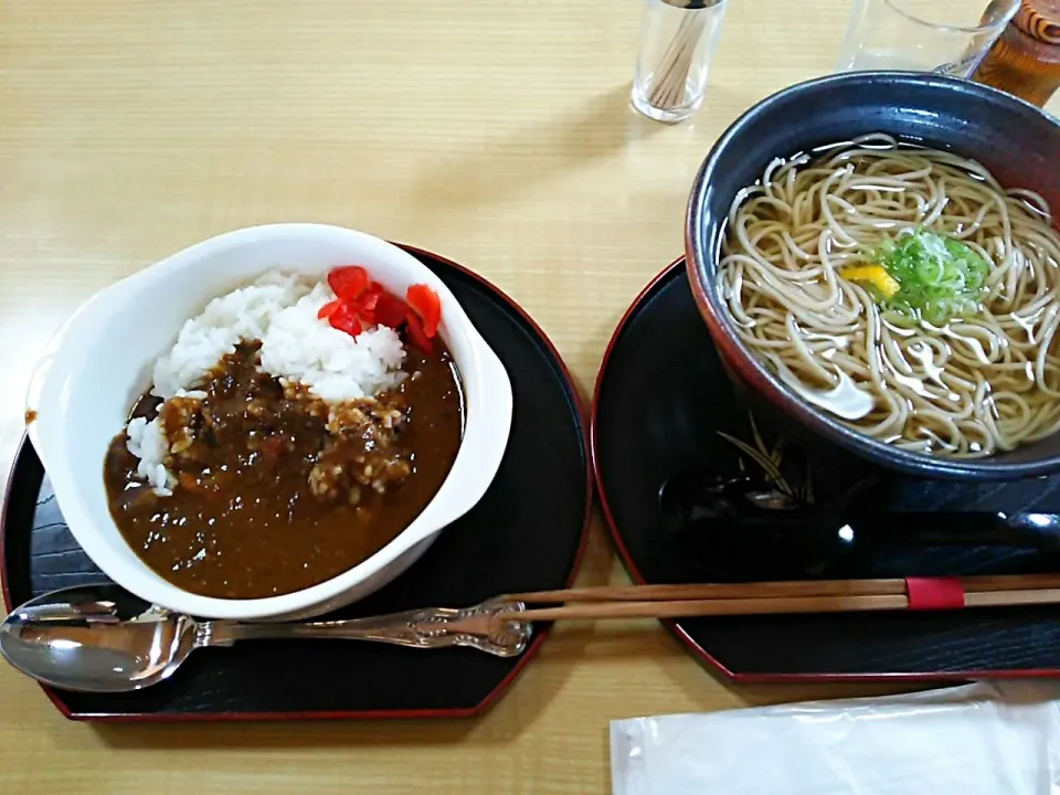 美味いそばでだしが自慢

鹿肉もとろとろな鹿肉カレー|Yuichi Sakaiさん