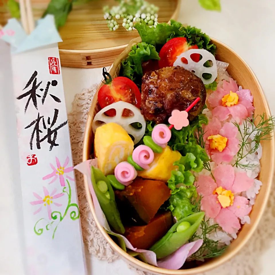 ゆっぴーのお弁当『またまた秋桜咲きました〜☺️』|kumiさん