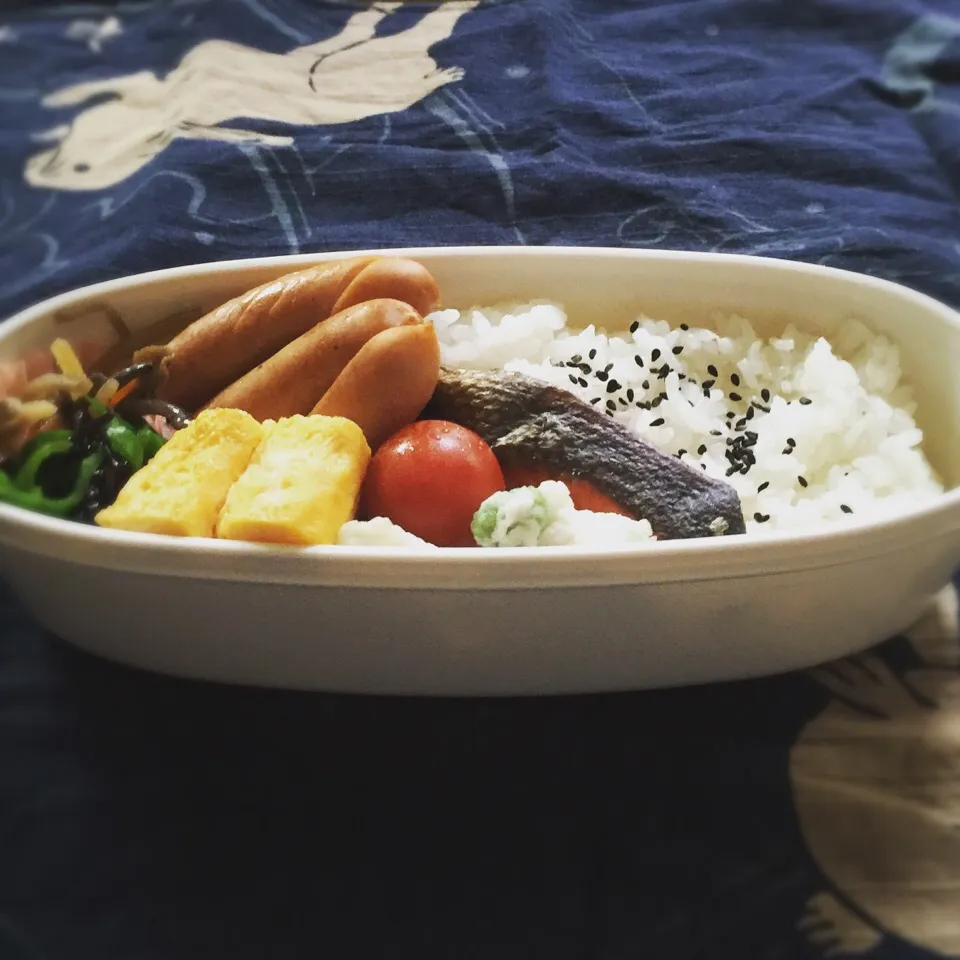 シャケな弁当|🌀さん